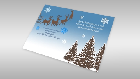 5 x 7 (Flat) - Holiday Cards
