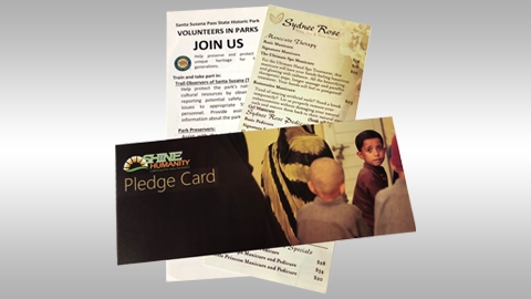 3½ x 8½ - Flyer or Sell Sheet  on 100lb